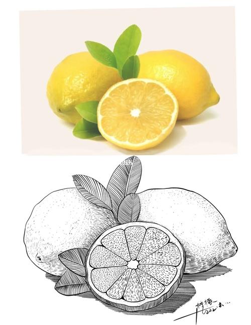 粉笔画柠檬的相关图片