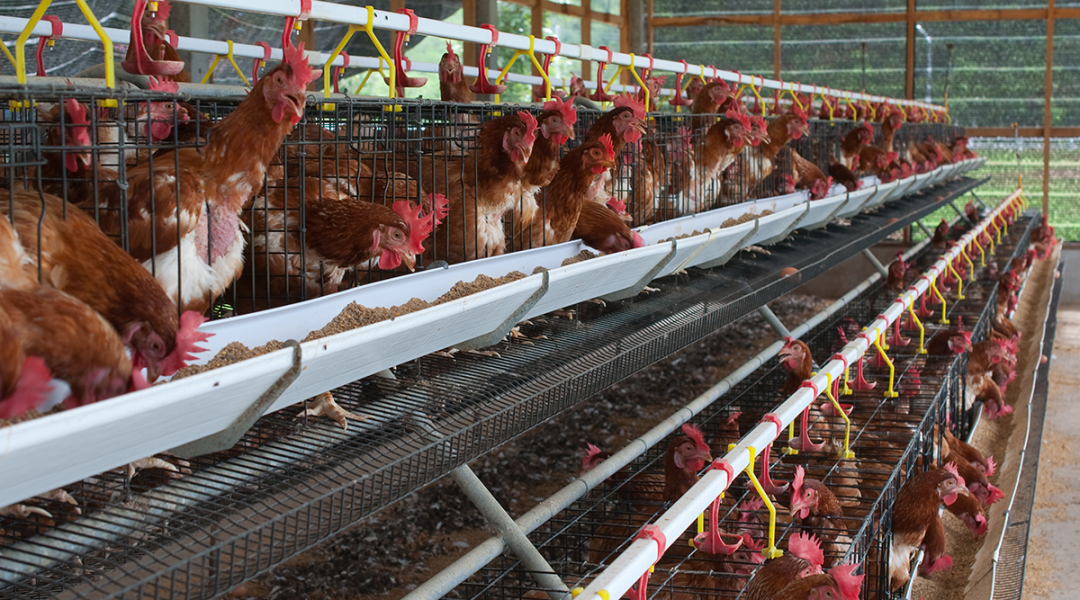 氨气的：σ约霸し佬孤┑姆椒